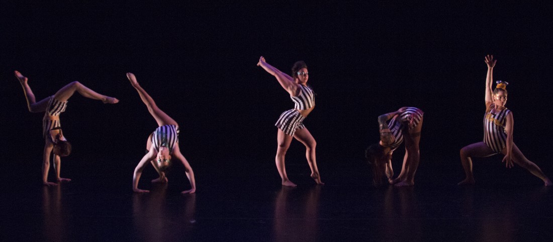No Show Performers (Wide - Landscape) Photograph from Ellie Dubois