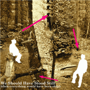 We Should Have stood Still (Then everything Would Have Been Okay)
