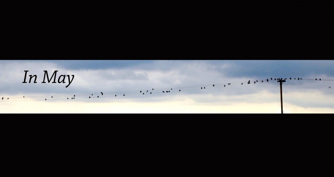 In May strap In May Birds on wire