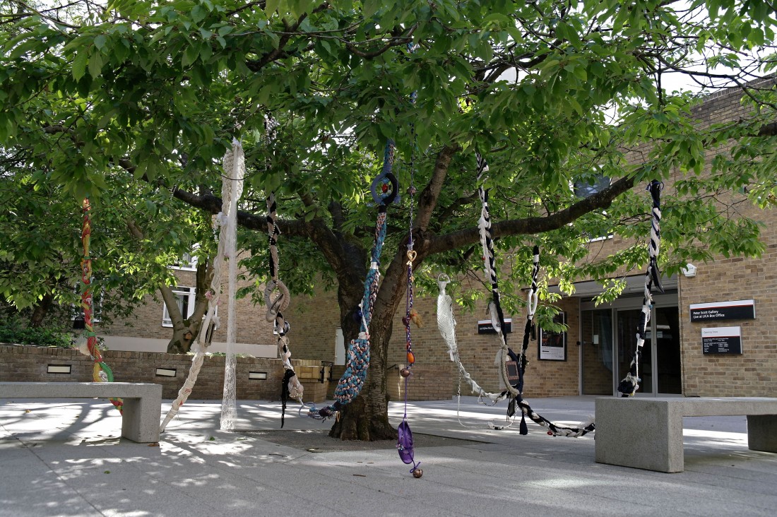 Wishing Tree Wishing Tree - outside Peter Scott Gallery, Lancaster University