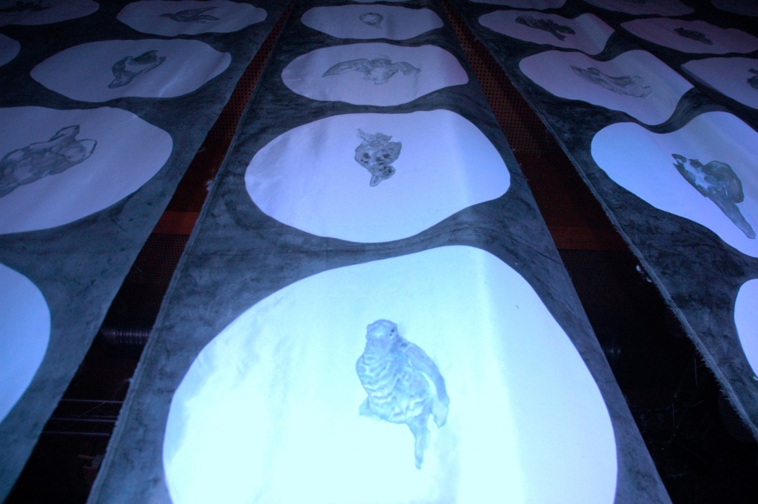 Bird Panopticon: Floor (Blue tint)