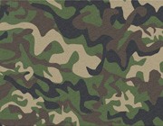 The Soldier's Song