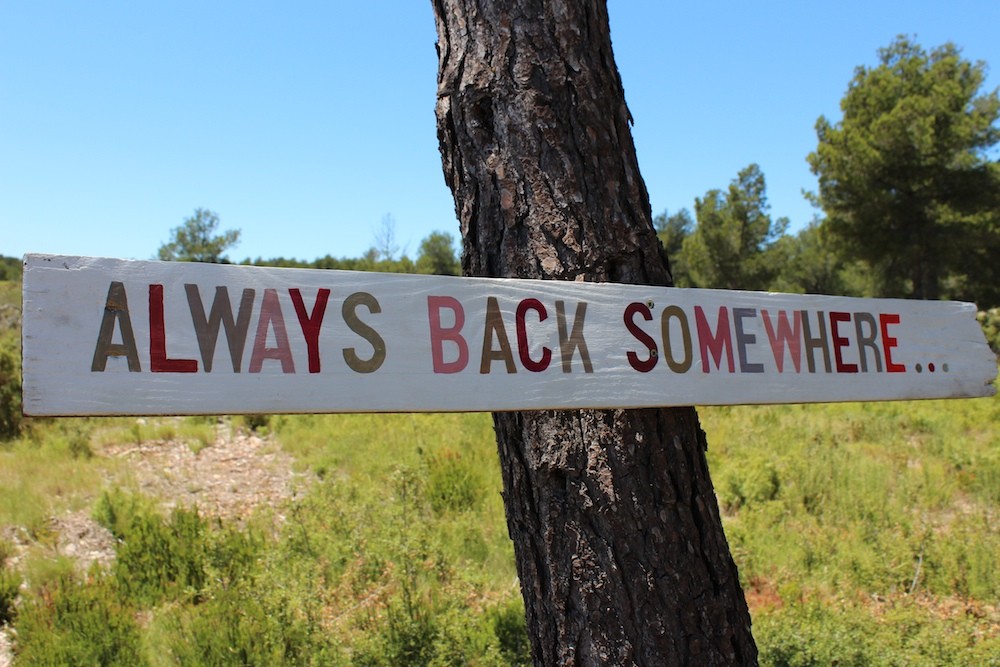 Charlie Fox - AlwaysBack