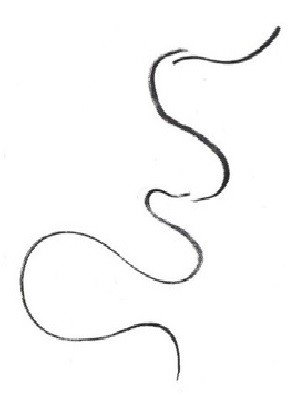 On Writing and Drawing: Barthes Drawing Workshop