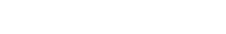 New Pixel Palace Logo WHITE