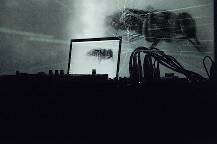 Herman Kolgen - DUST